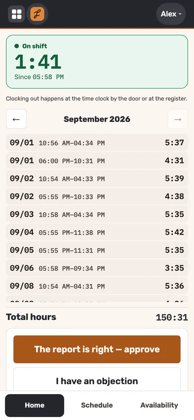 The team app: my shifts and my month